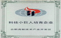 喜訊（xùn） 私人影院在线观看免费（zhì）入選合肥高新區“科技小巨人”培育企業