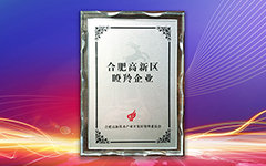 熱（rè）烈祝賀私人影院在线观看免费榮獲（huò）合肥高新區2018年度“瞪羚（líng）企業”榮譽稱號