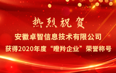 熱烈祝賀安徽私人影院在线观看免费信息技術有限公司獲得2020年度（dù）“瞪羚企業”榮譽稱號