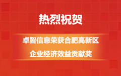 熱烈祝賀!私人影院在线观看免费信息榮獲合肥高新區企業經濟效益貢獻獎